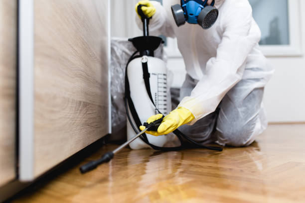 Trusted North Lauderdale, FL Pest Control Experts