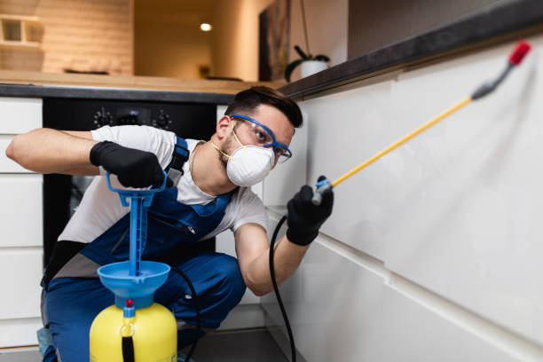 Best Termite Control Services  in North Lauderdale, FL