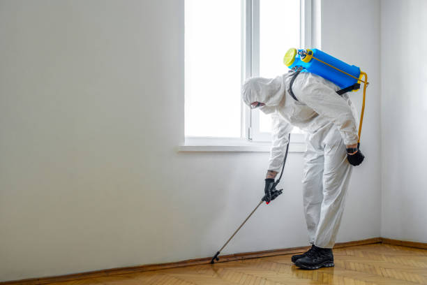Best Local Pest Control Services  in North Lauderdale, FL