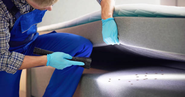 Best Affordable Pest Control Services  in North Lauderdale, FL