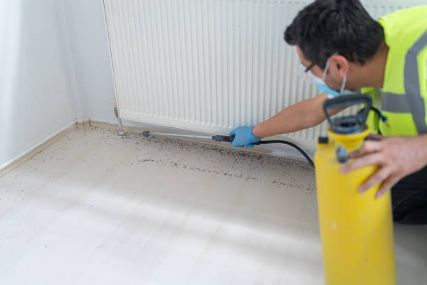 Best Pest Inspection Near Me  in North Lauderdale, FL